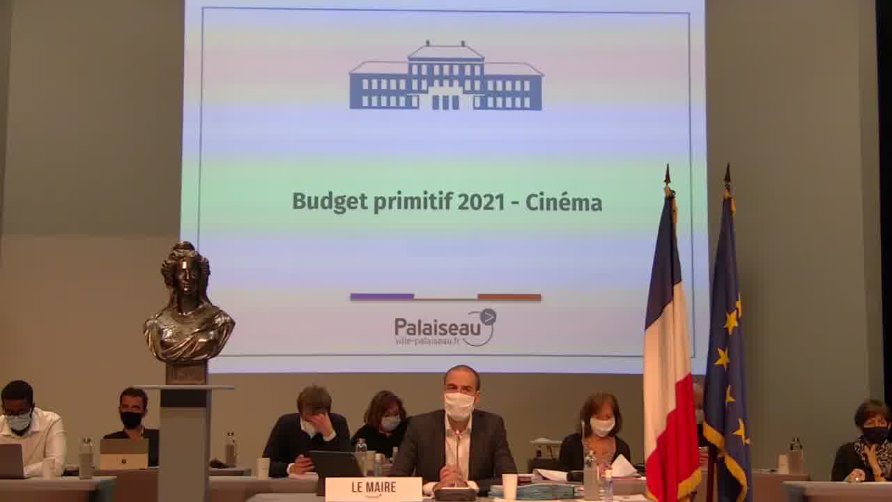 Budget primitif 2021 - Cinéma